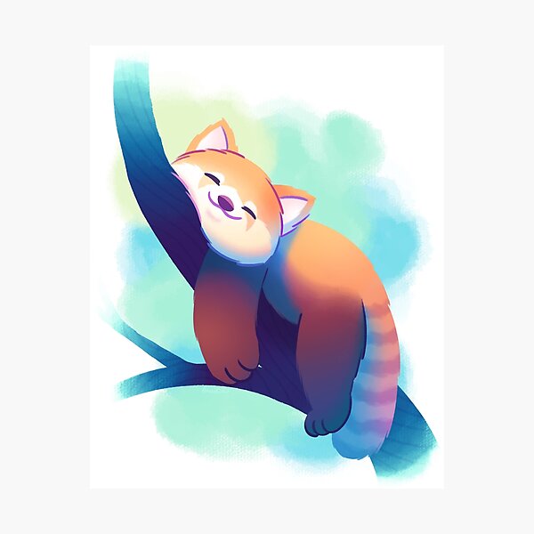 Dreaming Red Panda Photographic Print