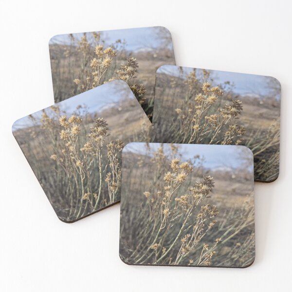 Item preview, The Softness of What Remains designed and sold by Betsy Phillips.
