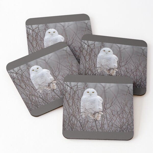 Item preview, Snowy Owl  designed and sold by Shannon Emmel .