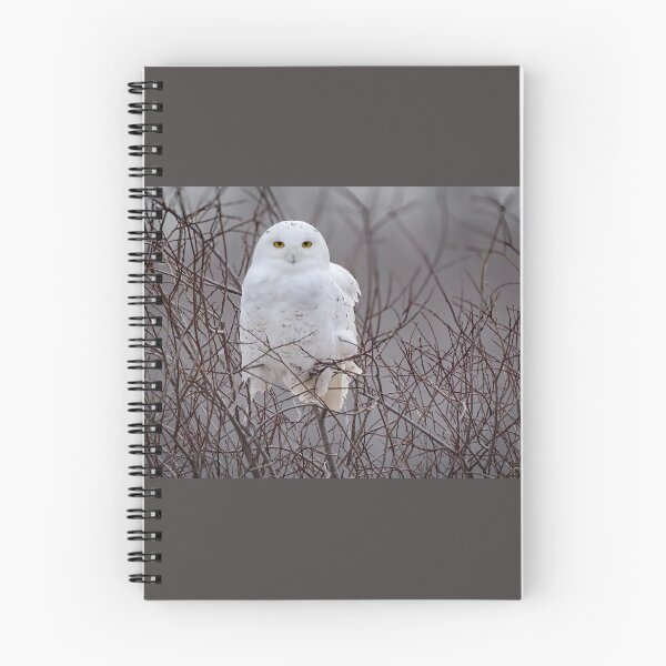 Item preview, Snowy Owl  designed and sold by Shannon Emmel .