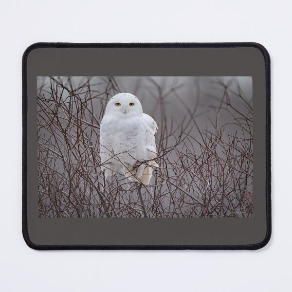 Item preview, Snowy Owl  designed and sold by Shannon Emmel .