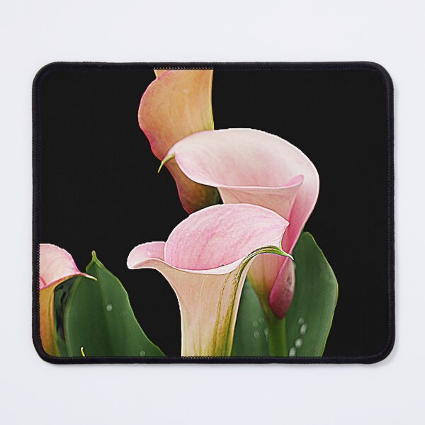 Item preview, Pink Calla designed and sold by Larry Davis.