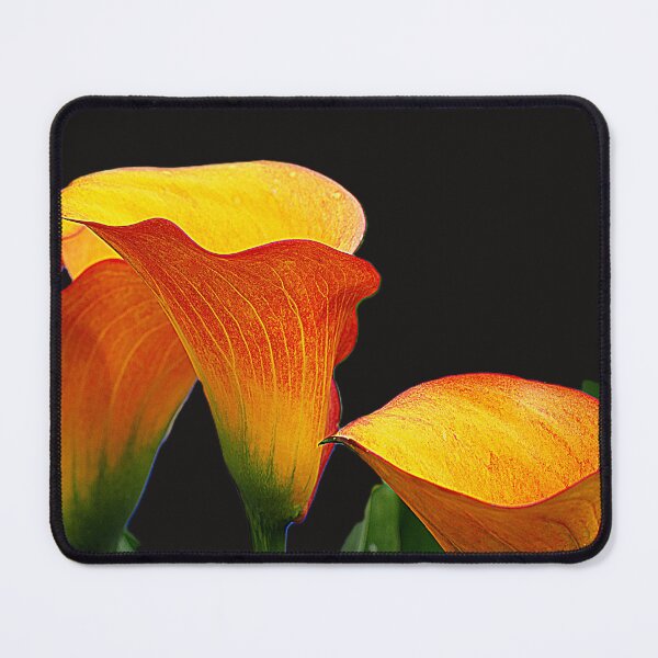 Item preview, Golden Calla designed and sold by Larry Davis.
