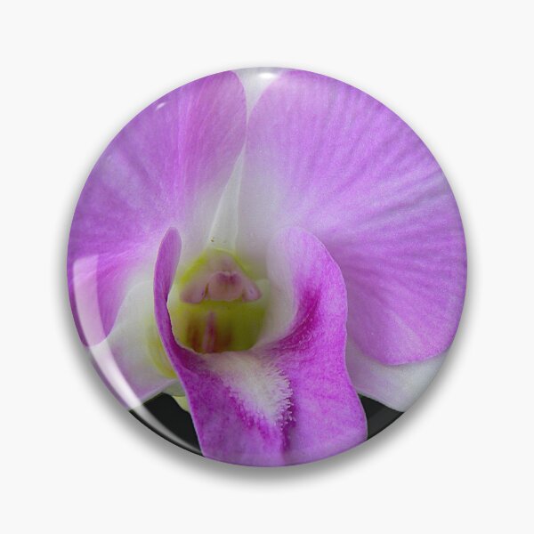 Item preview, Dendrobium nobile As Is designed and sold by Larry Davis.