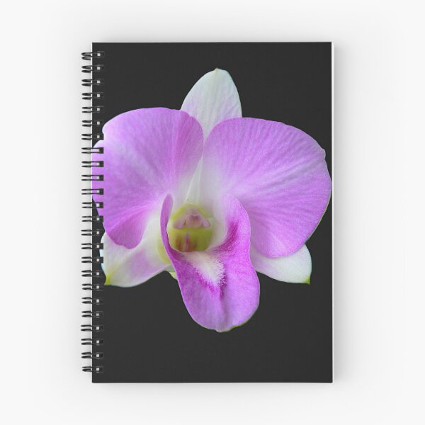 Item preview, Dendrobium nobile As Is designed and sold by Larry Davis.