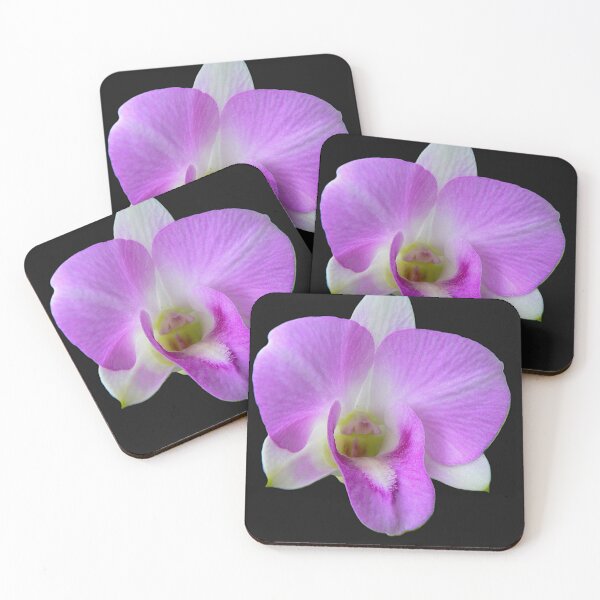 Item preview, Dendrobium nobile As Is designed and sold by Larry Davis.