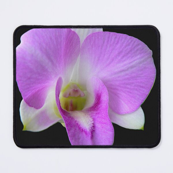 Item preview, Dendrobium nobile As Is designed and sold by Larry Davis.