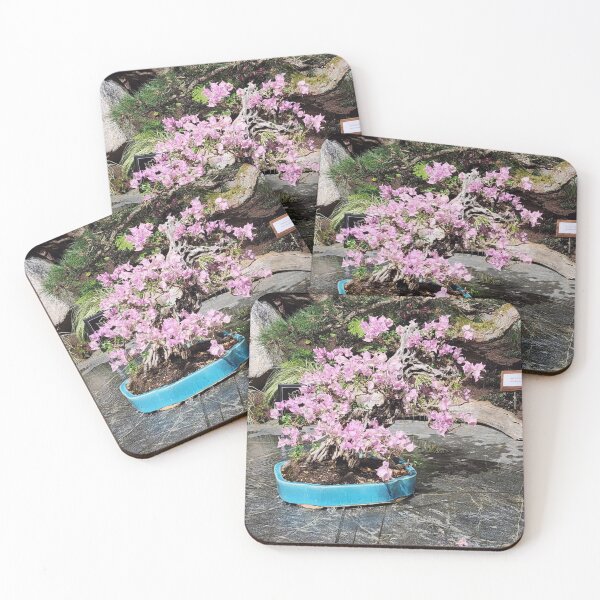Item preview, Pink Aviation American Gin bBougainvillea Bonsai in Blue Pot designed and sold by Wieckmananddoc.