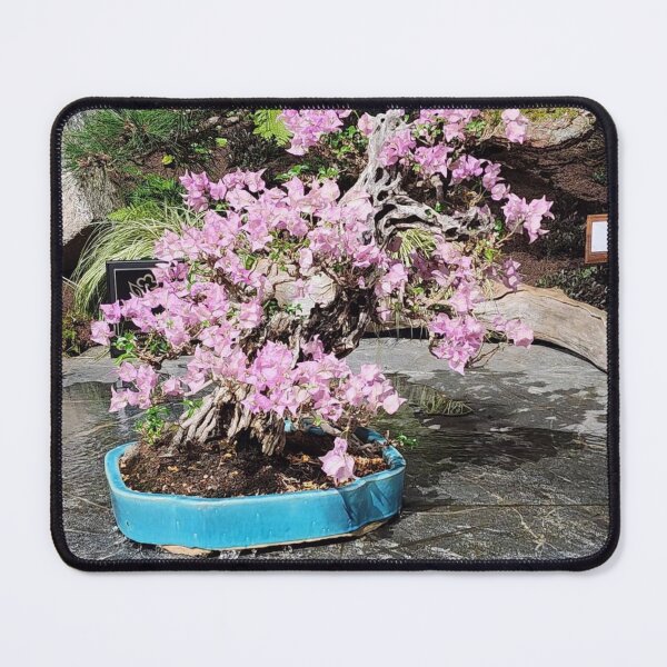 Item preview, Pink Aviation American Gin bBougainvillea Bonsai in Blue Pot designed and sold by Wieckmananddoc.