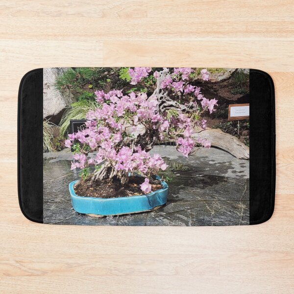 Item preview, Pink Aviation American Gin bBougainvillea Bonsai in Blue Pot designed and sold by Wieckmananddoc.
