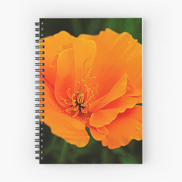 Item preview, Papaver Perfection designed and sold by Larry Davis.