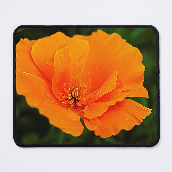 Item preview, Papaver Perfection designed and sold by Larry Davis.