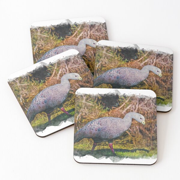 Item preview, Cape Barren Goose designed and sold by craigm.