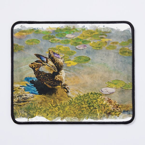 Item preview, River Duck Feeding designed and sold by craigm.