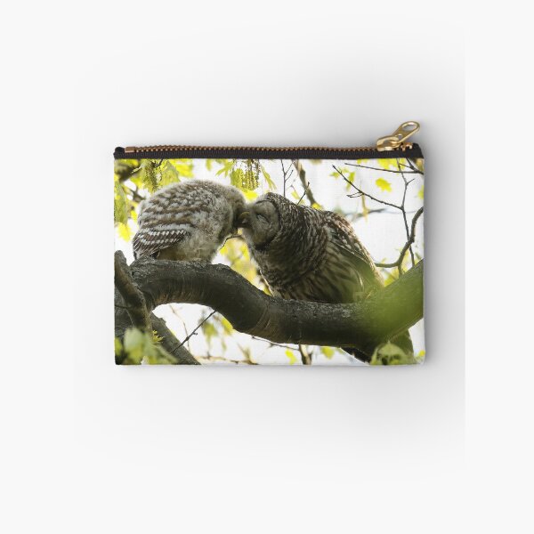 Item preview, Barred owl mom loving her baby designed and sold by locustgirl.