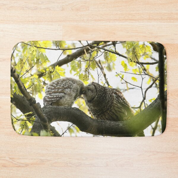 Item preview, Barred owl mom loving her baby designed and sold by locustgirl.