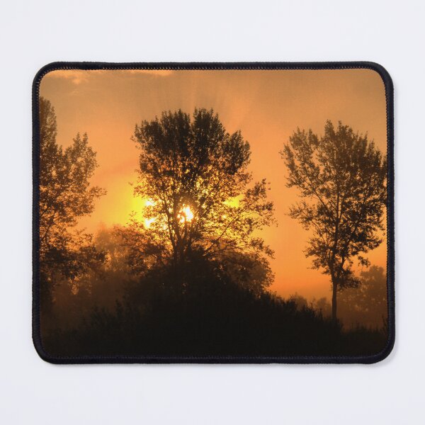 Item preview, A Tree, A Silhouette, and a Sunrise.  ( 2 ) designed and sold by Larry Davis.