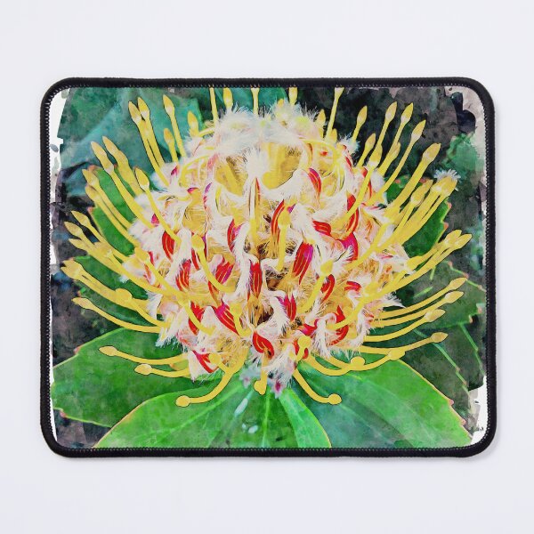 Item preview, Bright Protea Flower designed and sold by craigm.