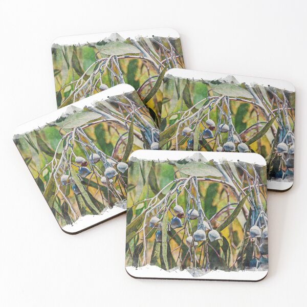 Item preview, Australian Gumnuts designed and sold by craigm.