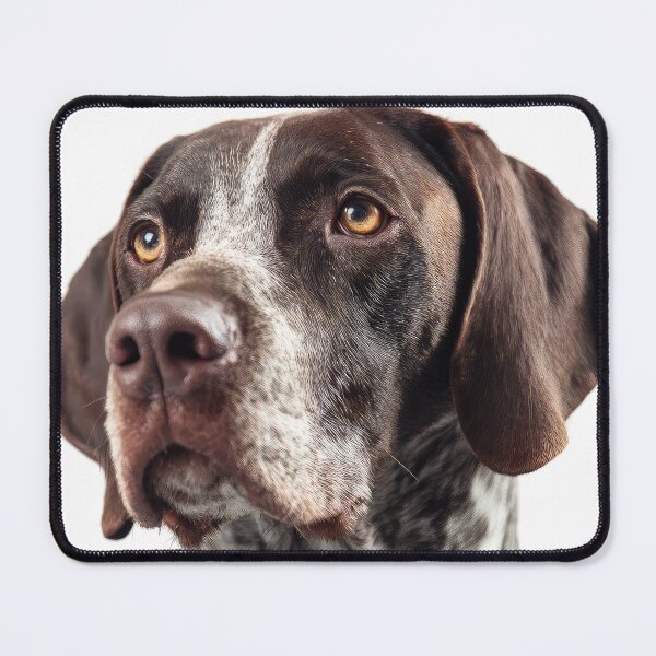 Item preview, French Pointer on White designed and sold by Elisabeth Lucas.