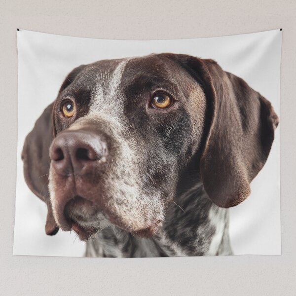 Item preview, French Pointer on White designed and sold by Elisabeth Lucas.