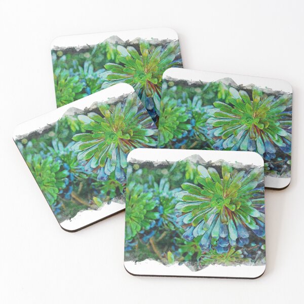 Item preview, Green Aeonium Plants designed and sold by craigm.