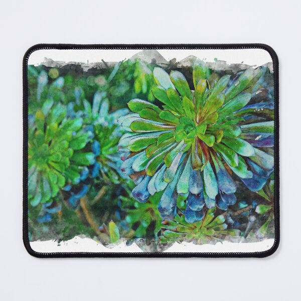 Item preview, Green Aeonium Plants designed and sold by craigm.
