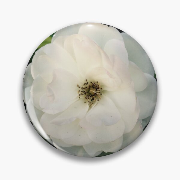 Item preview, Pure White Rose designed and sold by NilCaelum.