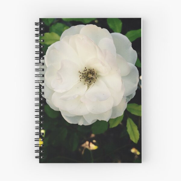Item preview, Pure White Rose designed and sold by NilCaelum.