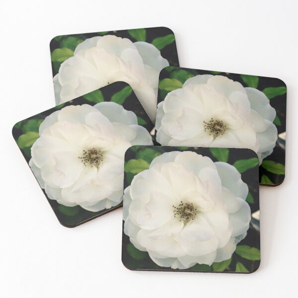 Item preview, Pure White Rose designed and sold by NilCaelum.