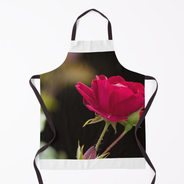Item preview, rose and bud designed and sold by derekrich.