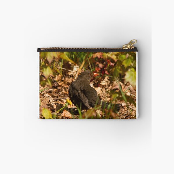 Item preview, Mrs Blackbird designed and sold by Jon Lees.
