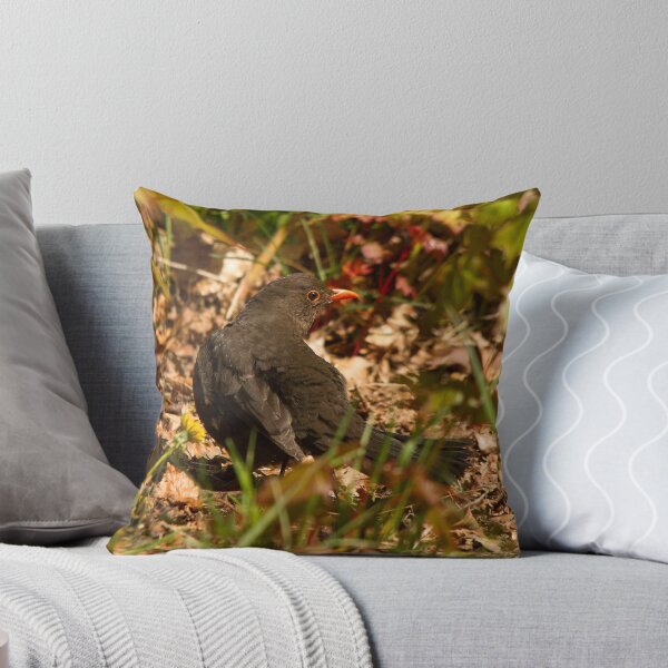 Item preview, Mrs Blackbird designed and sold by Jon Lees.