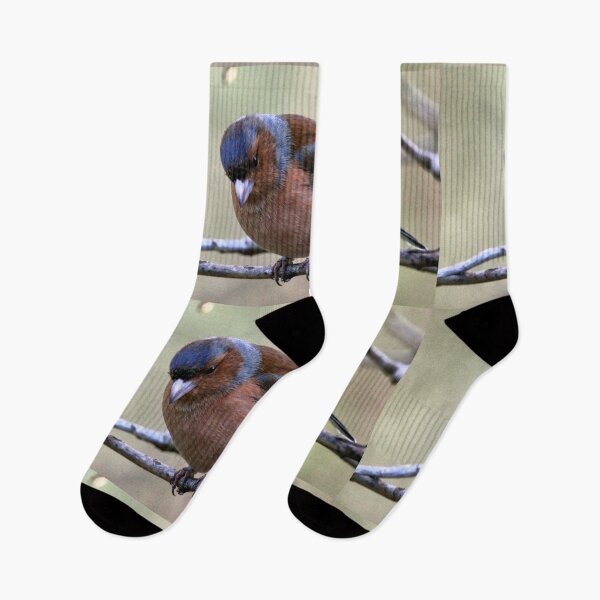 Item preview, chaffinch designed and sold by KathleenDawson.