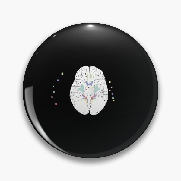 Item preview, Cranial Nerves Labeled Diagram designed and sold by ihgterpbizv18.