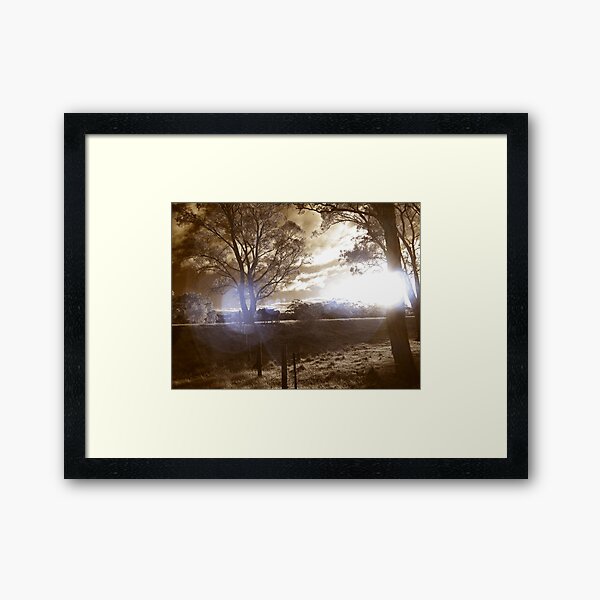 How Now Brown Cow Framed Art Print