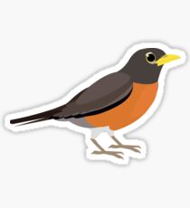 Robin Sticker