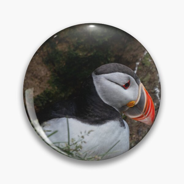 Item preview, Hafnarholmi Puffin II designed and sold by DiFigianoPhoto.