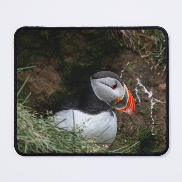 Item preview, Hafnarholmi Puffin II designed and sold by DiFigianoPhoto.