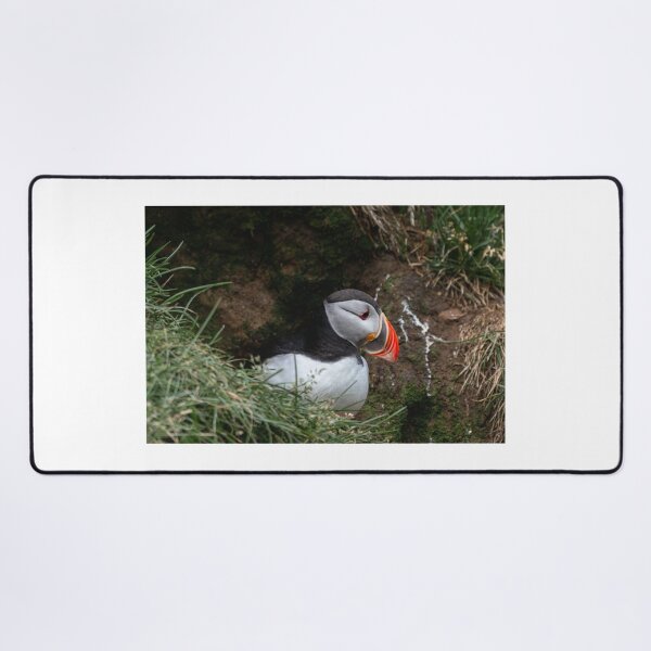 Item preview, Hafnarholmi Puffin II designed and sold by DiFigianoPhoto.