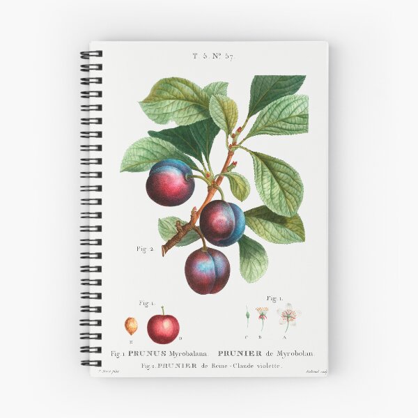 Item preview, Retro Kitchen - Plums designed and sold by Inspirationmotivation.