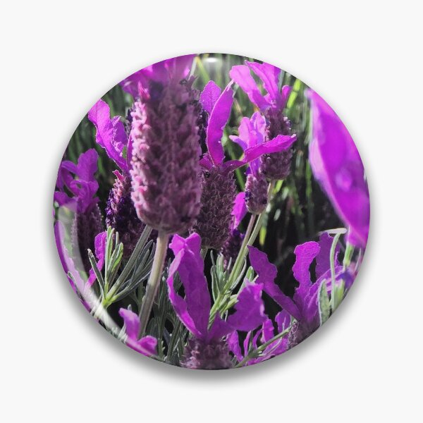 Item preview, Lavender Fields  designed and sold by NilCaelum.