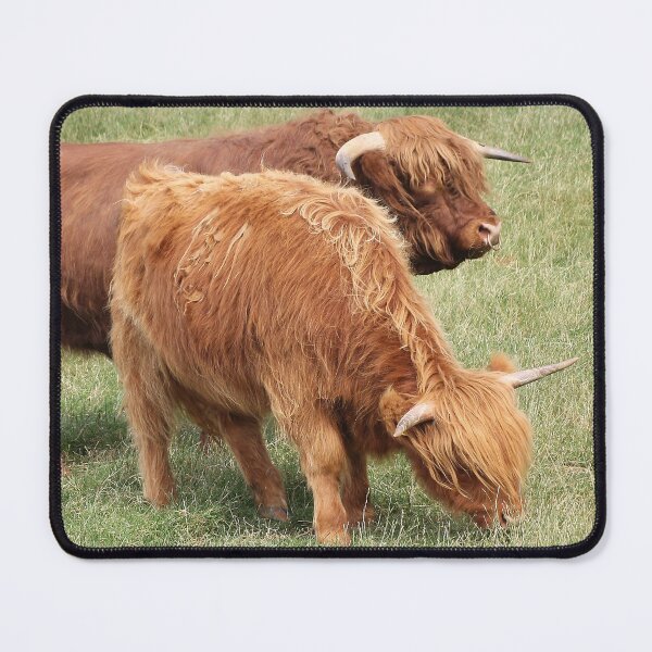 Item preview, Coos designed and sold by Murph's Images.