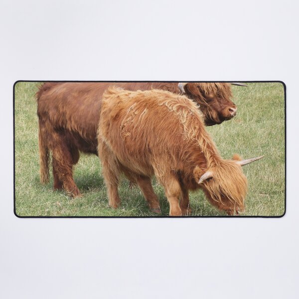 Item preview, Coos designed and sold by Murph's Images.
