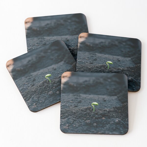 Item preview, New Life Sprouting designed and sold by Fonojacku-Photo.