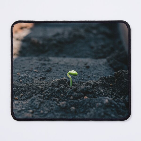 Item preview, New Life Sprouting designed and sold by Fonojacku-Photo.