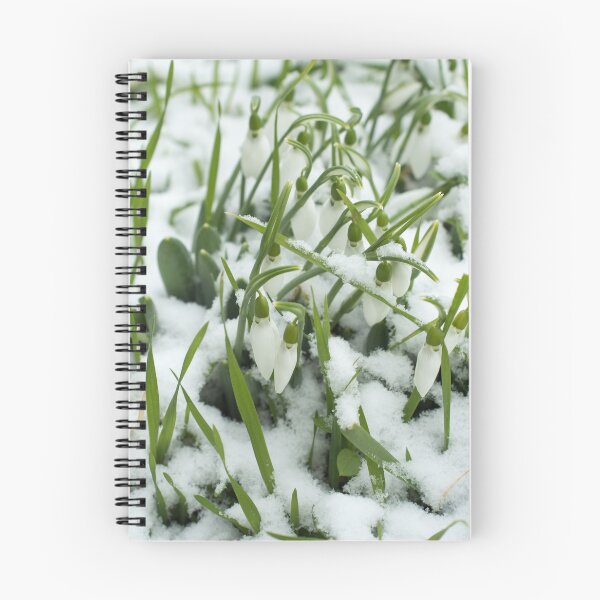 Item preview, Lovely Snowdrops Emerging Through Snow designed and sold by Georgia Mizuleva.