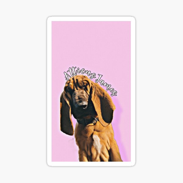 Atticus Sticker