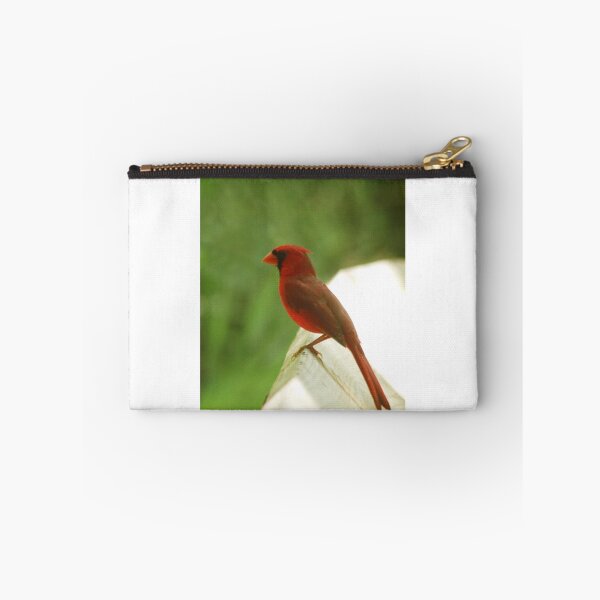 Item preview, The stunning red cardinal  designed and sold by miradorpictures.