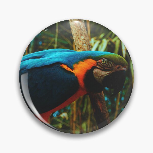 Item preview, Blue macaw designed and sold by Manonlpstn.